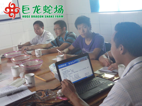 養(yǎng)蛇技術培訓,養(yǎng)蛇技術學習