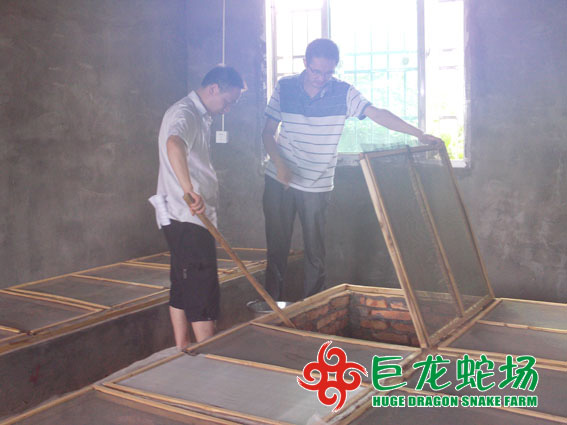 養(yǎng)蛇技術培訓,養(yǎng)蛇技術學習