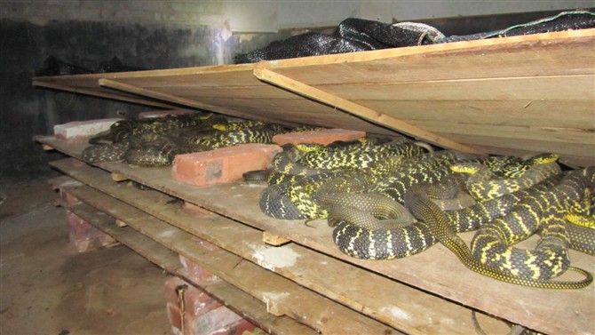 ���\�ߣ������ߣ��o������B(y��ng)