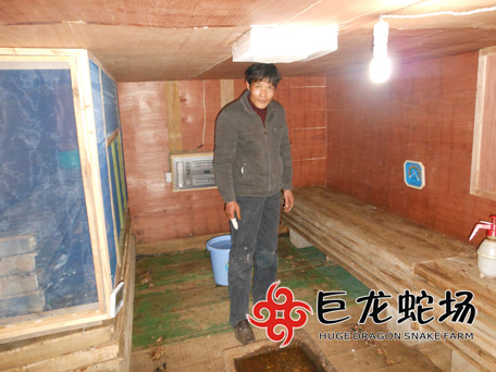 ���ތW(xu��)�T����