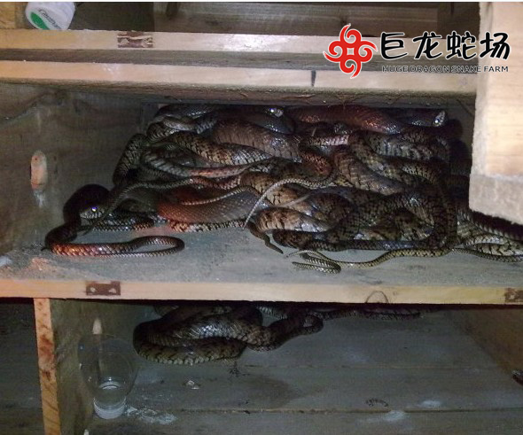 ˮ���߃r��