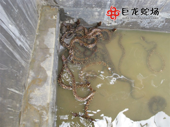 �岽�߷N��,�岽�߃r(ji��)��