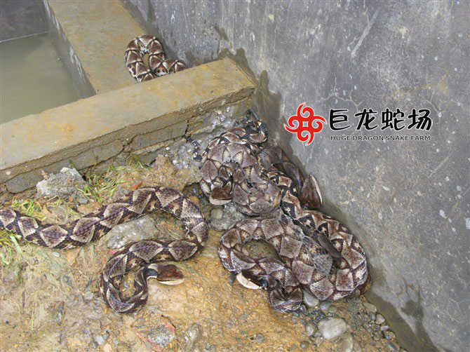 �岽�߷N��,�岽�߃r(ji��)��