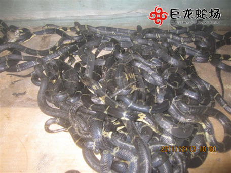 ���R����,���R����r��