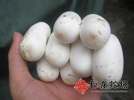 �������ߵ�,���\���ߵ�,�ߵ��r(ji��)��