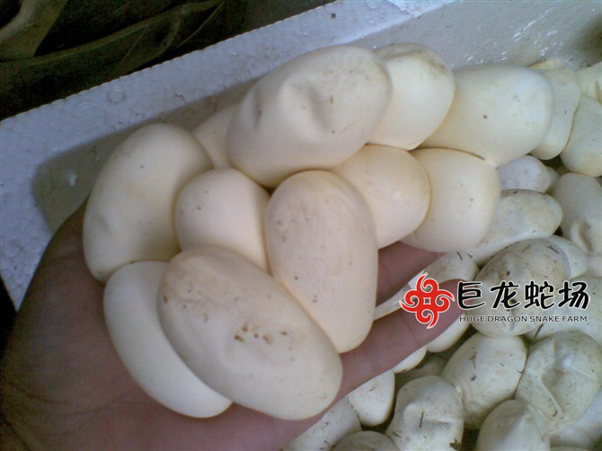 �������ߵ�,���\���ߵ�,�ߵ��r(ji��)��