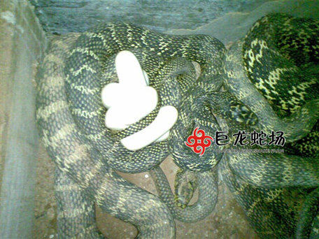 �������ߵ�,���\���ߵ�,�ߵ��r(ji��)��